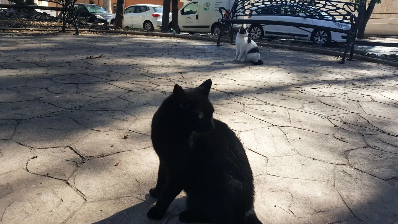 20230319_154122.jpg