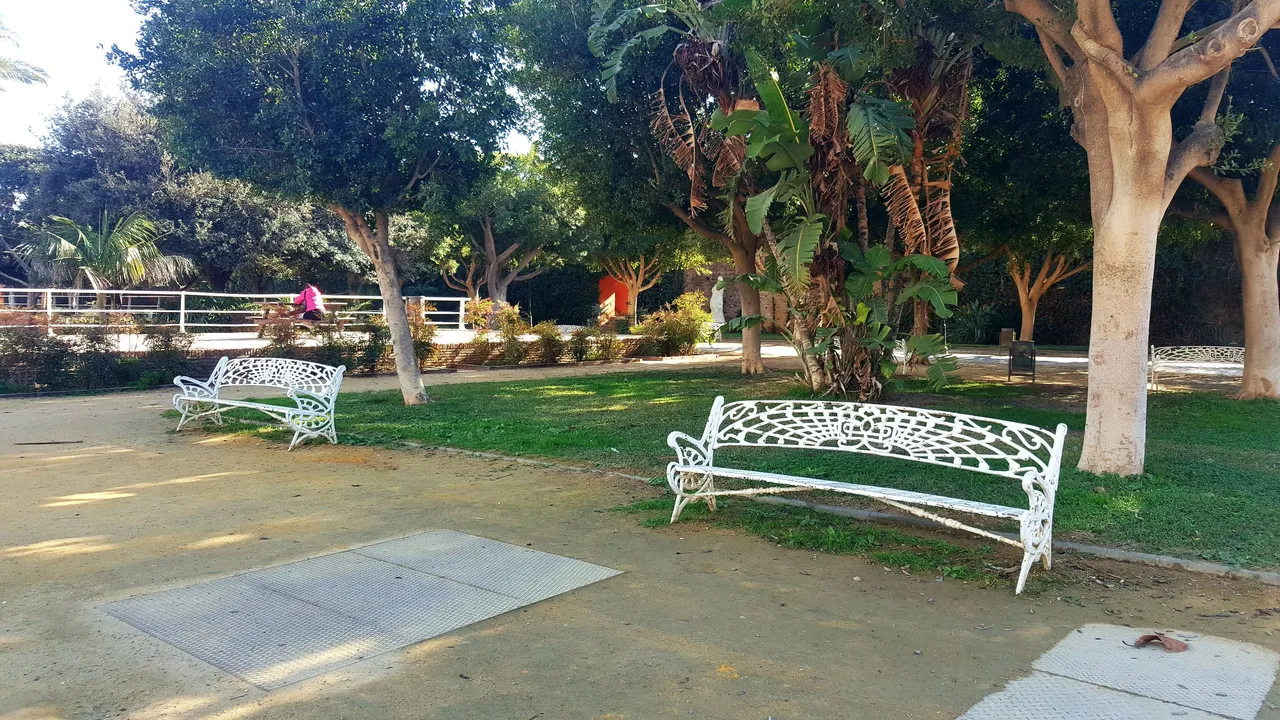20240202_153000.jpg