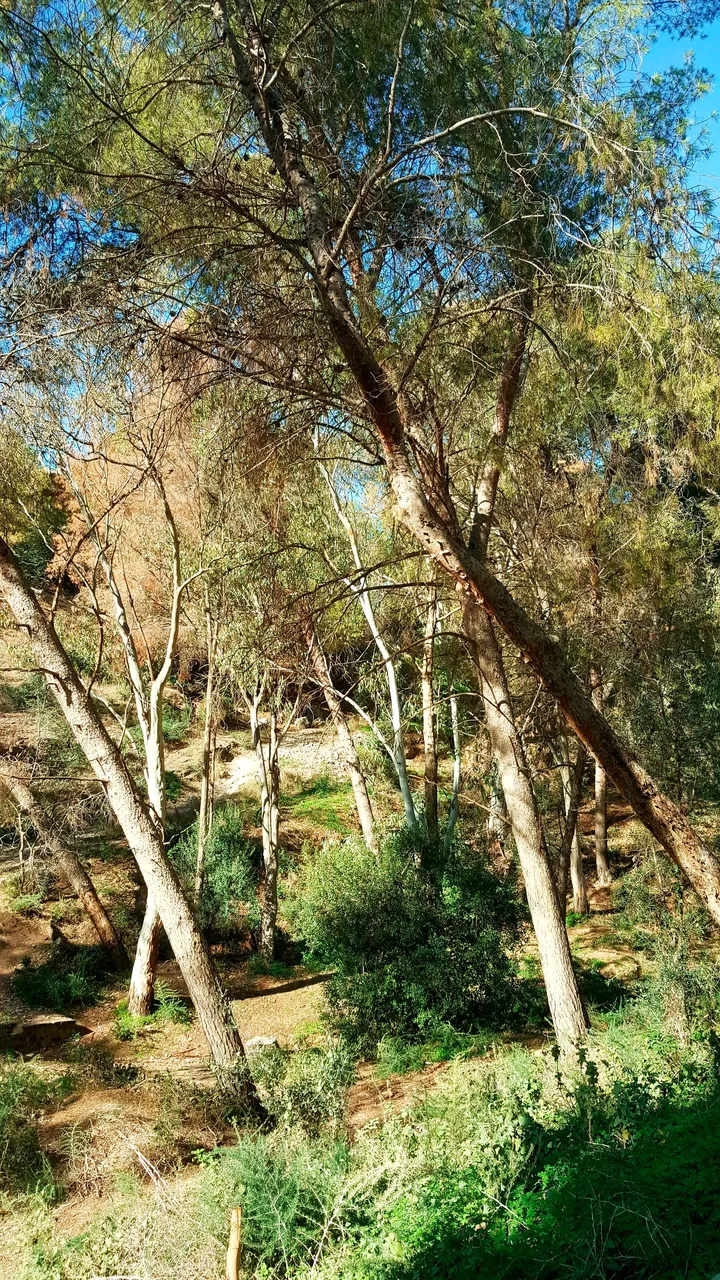 20240218_160232.jpg