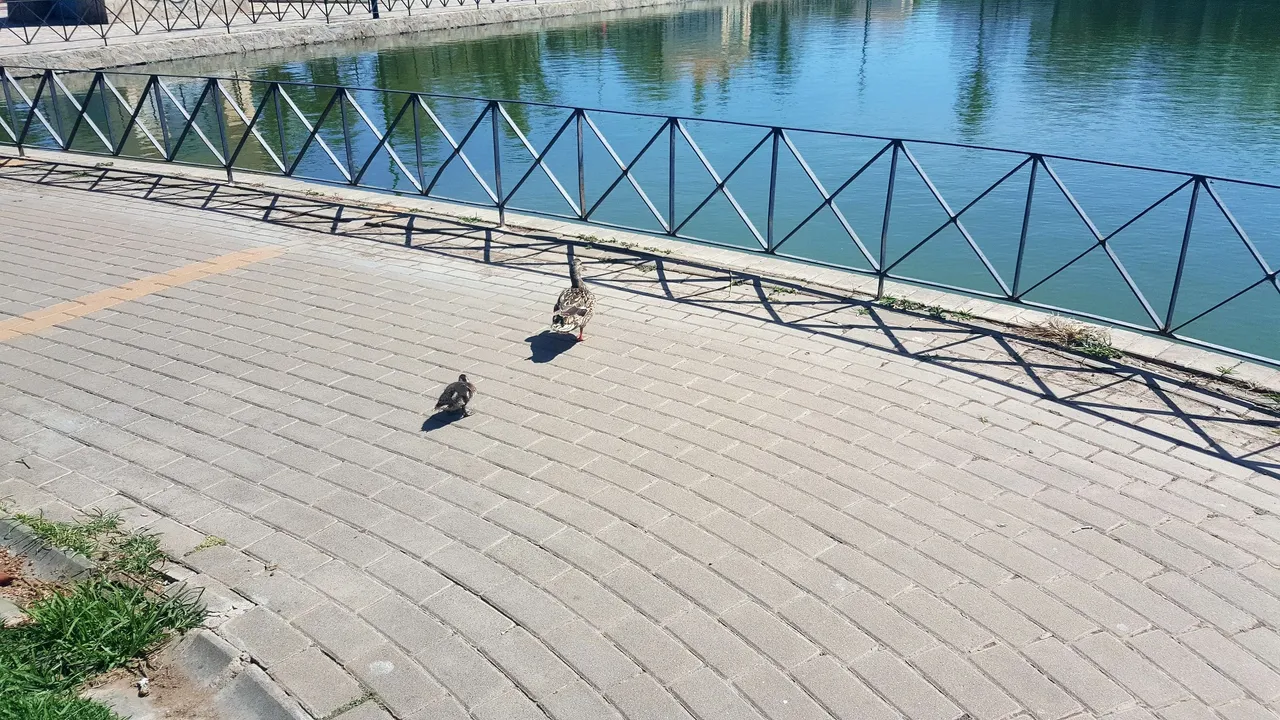 20240503_163409.jpg