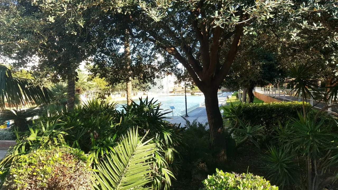 20240202_160344.jpg