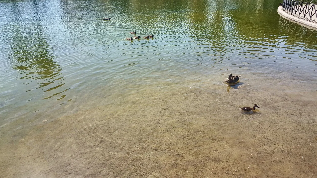 20240503_163313.jpg