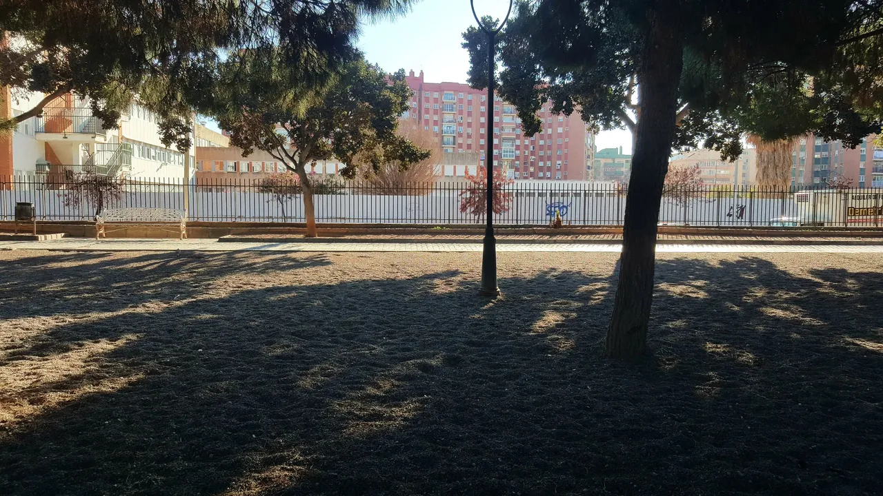 20240202_162324.jpg
