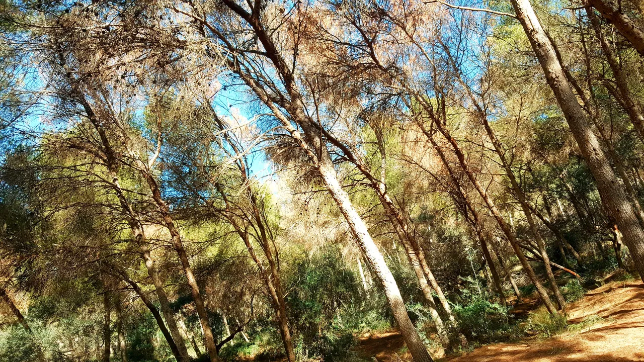 20240218_161544.jpg