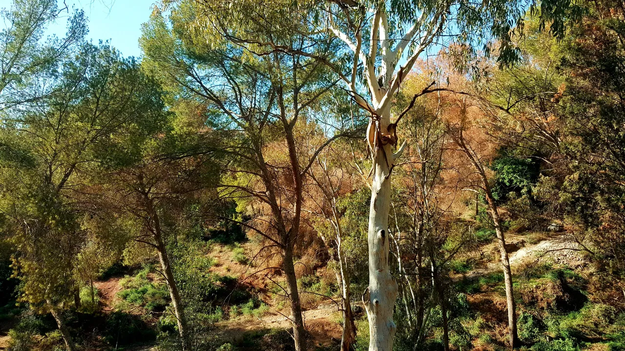 20240218_160938.jpg