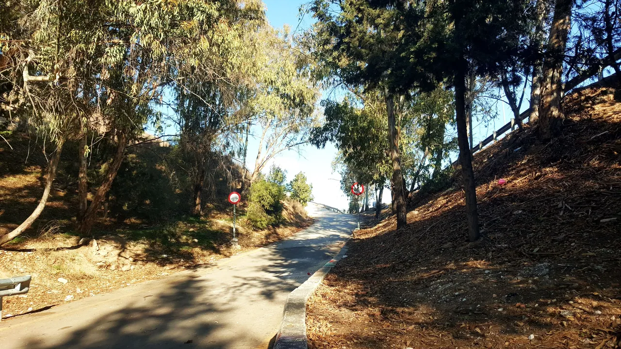 20220119_161033.jpg