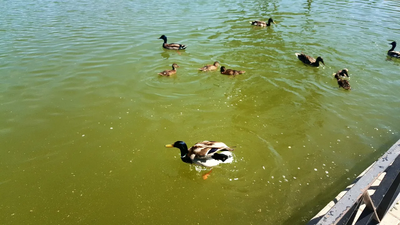 20240503_163802.jpg