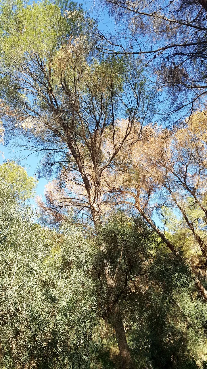 20240218_161325.jpg