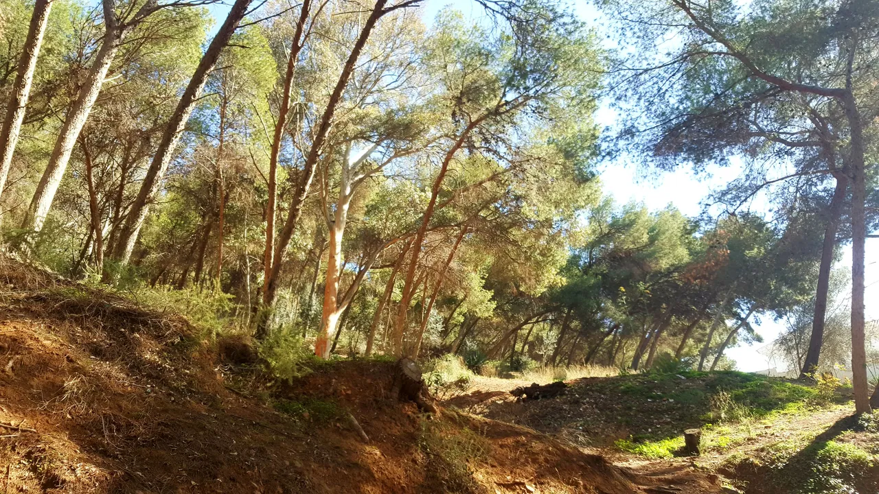 20240218_150923.jpg