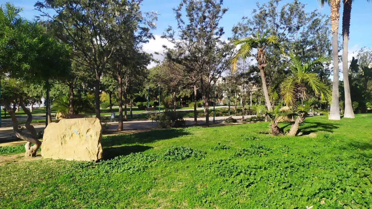 IMG-20201211-WA0021.jpg