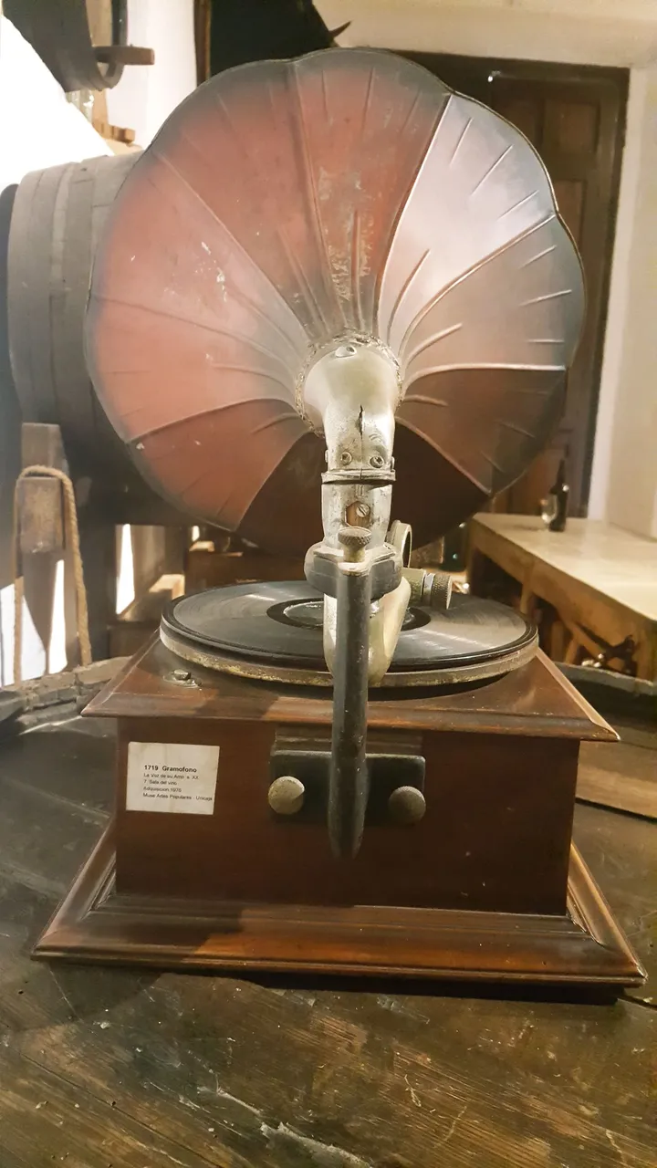20230418_155154.jpg