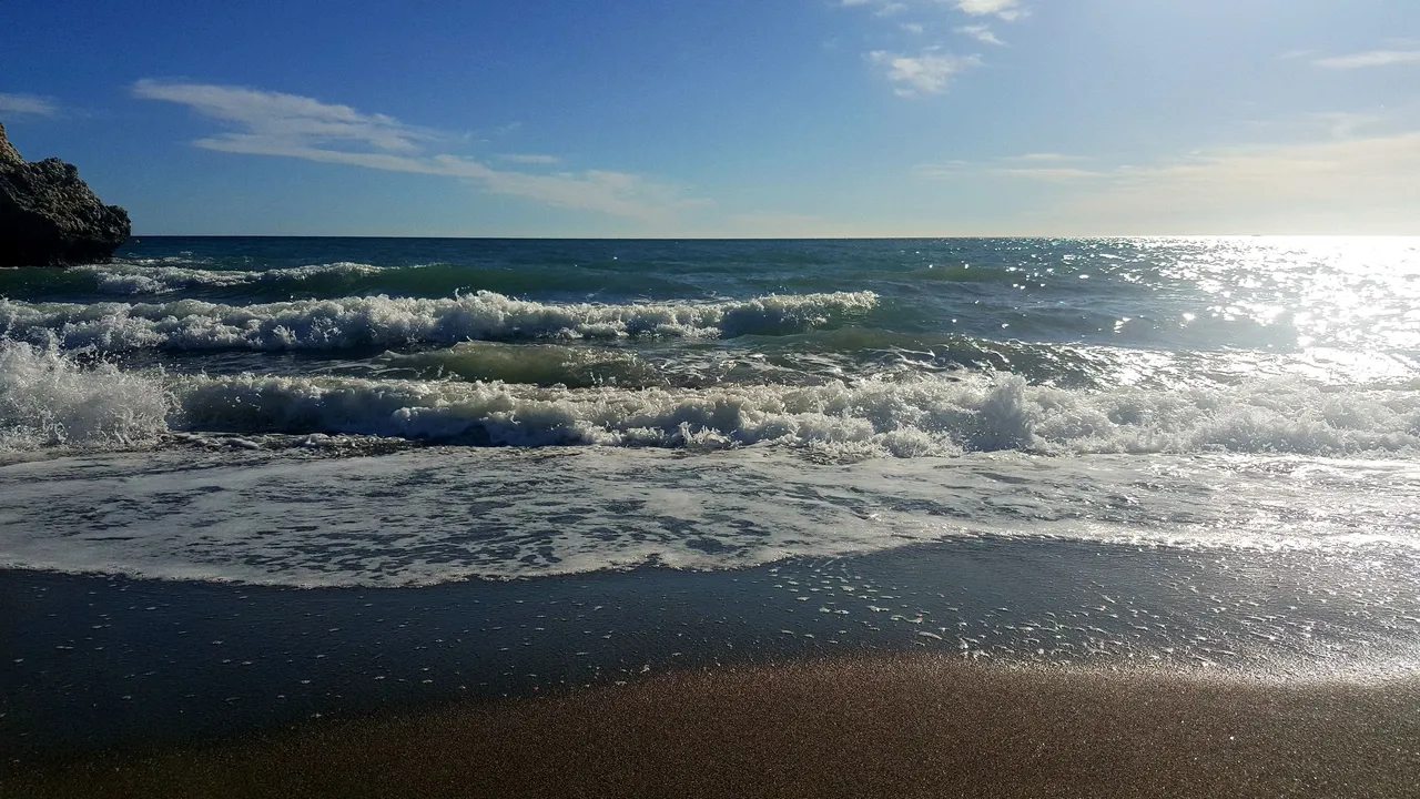 20231024_165156.jpg