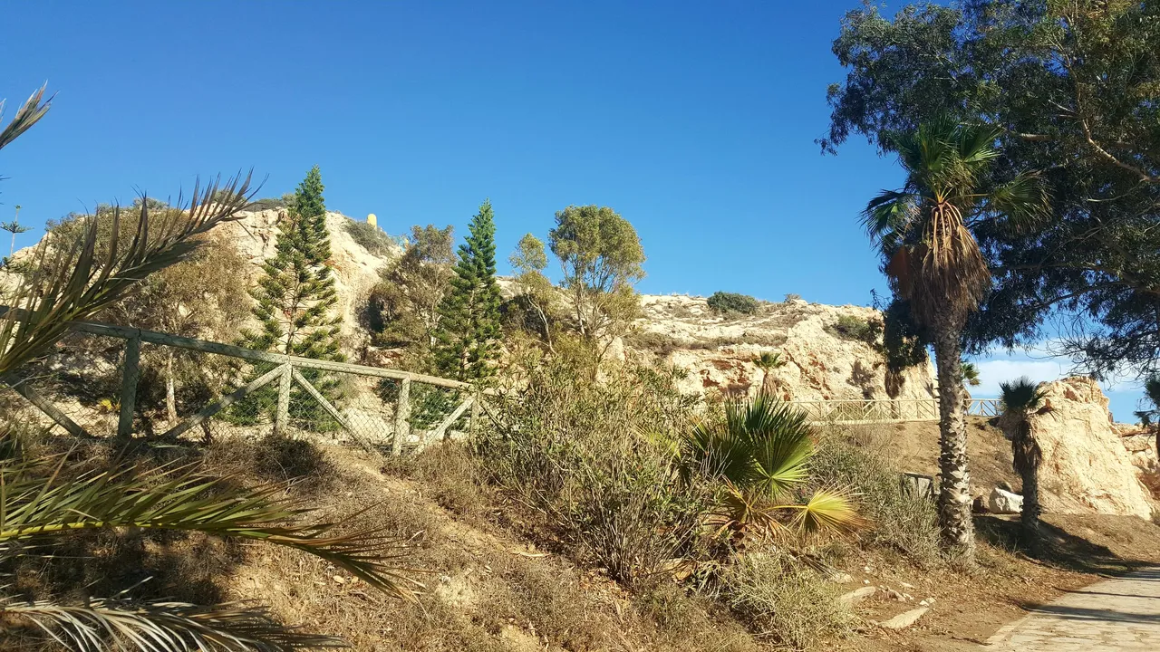 20231024_163309.jpg