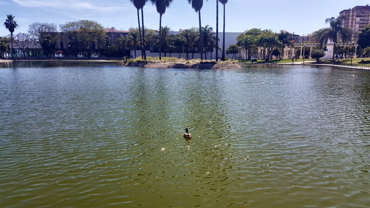 20240503_163505.jpg