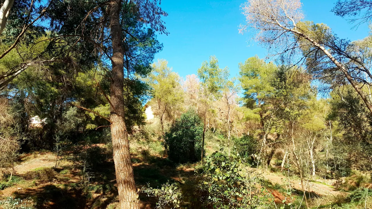 20240218_152139.jpg