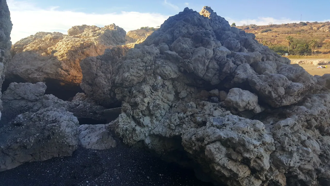 20231024_164745.jpg