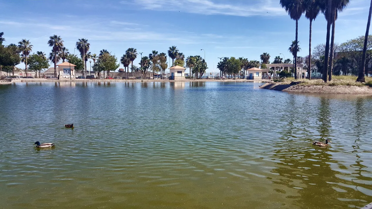20240503_163724.jpg