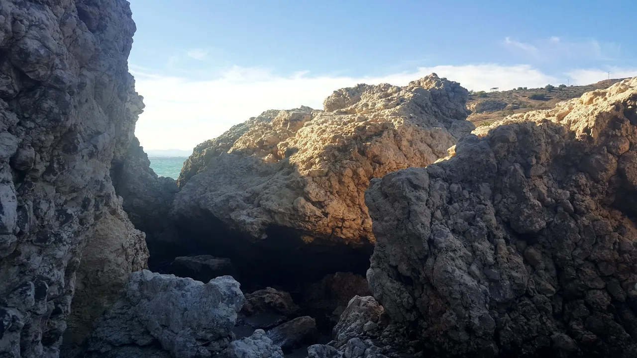 20231024_164753.jpg