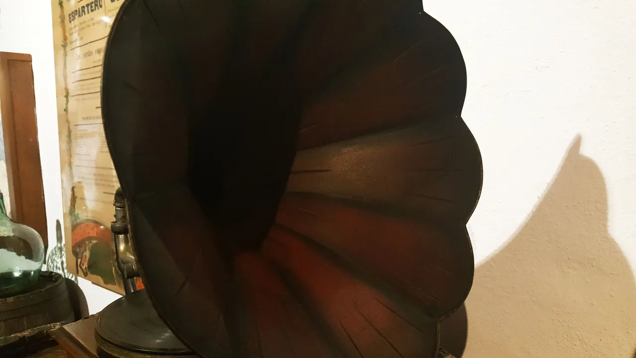 20230418_155030.jpg