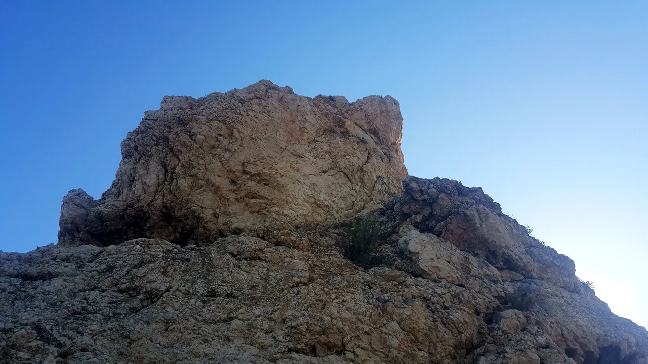 20231024_164710.jpg