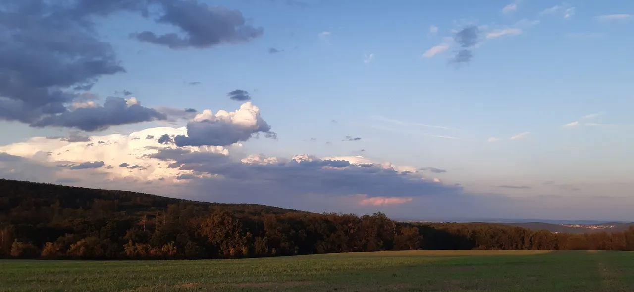 20210810_195302.jpg