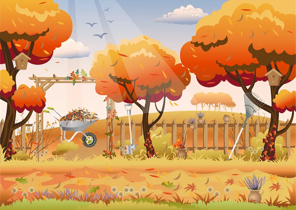 trees-6620586_960_720.png