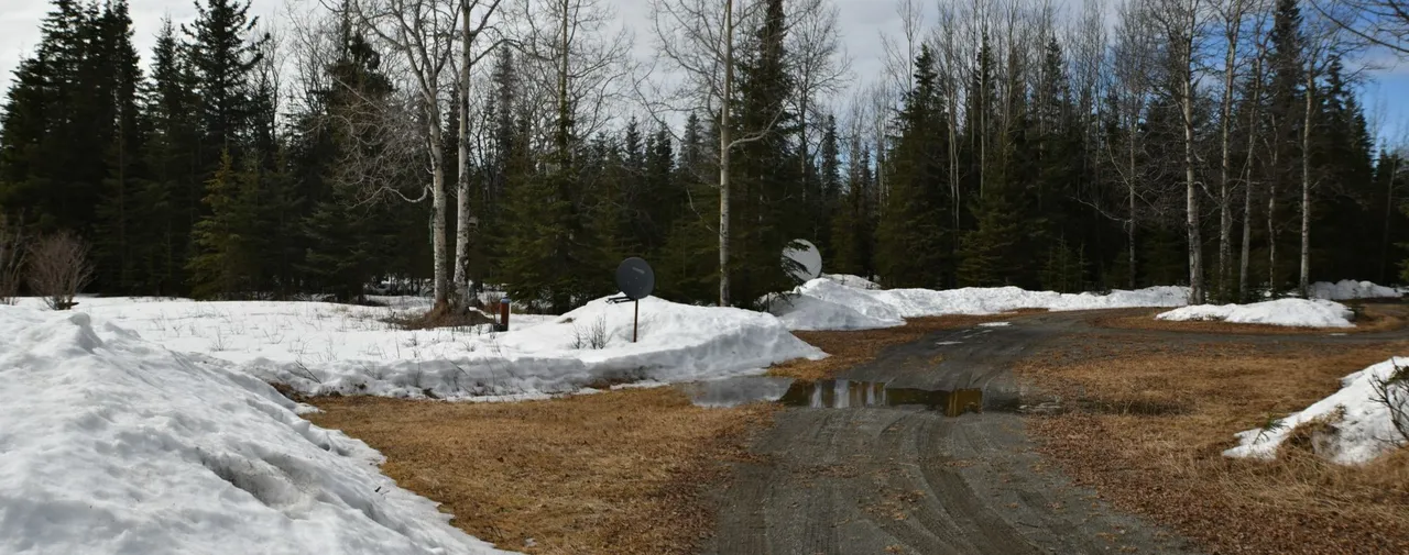 rear view pano