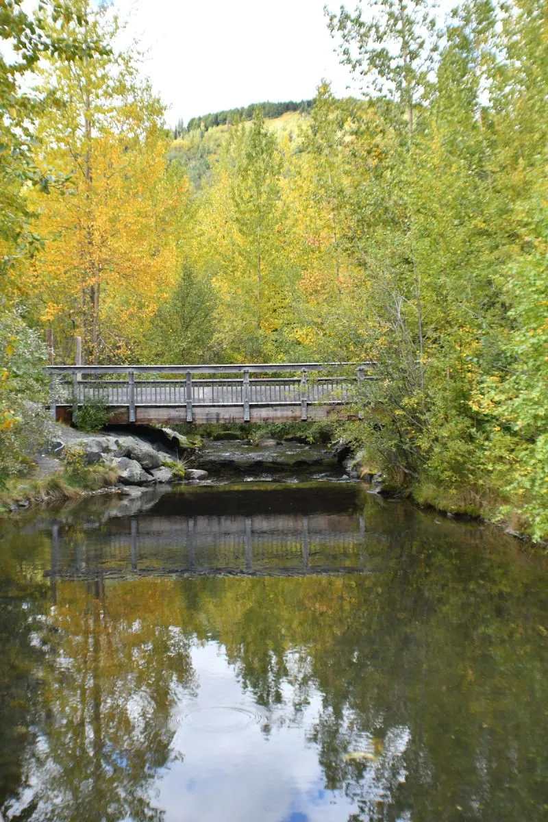 The Bridge into the Picnic Area