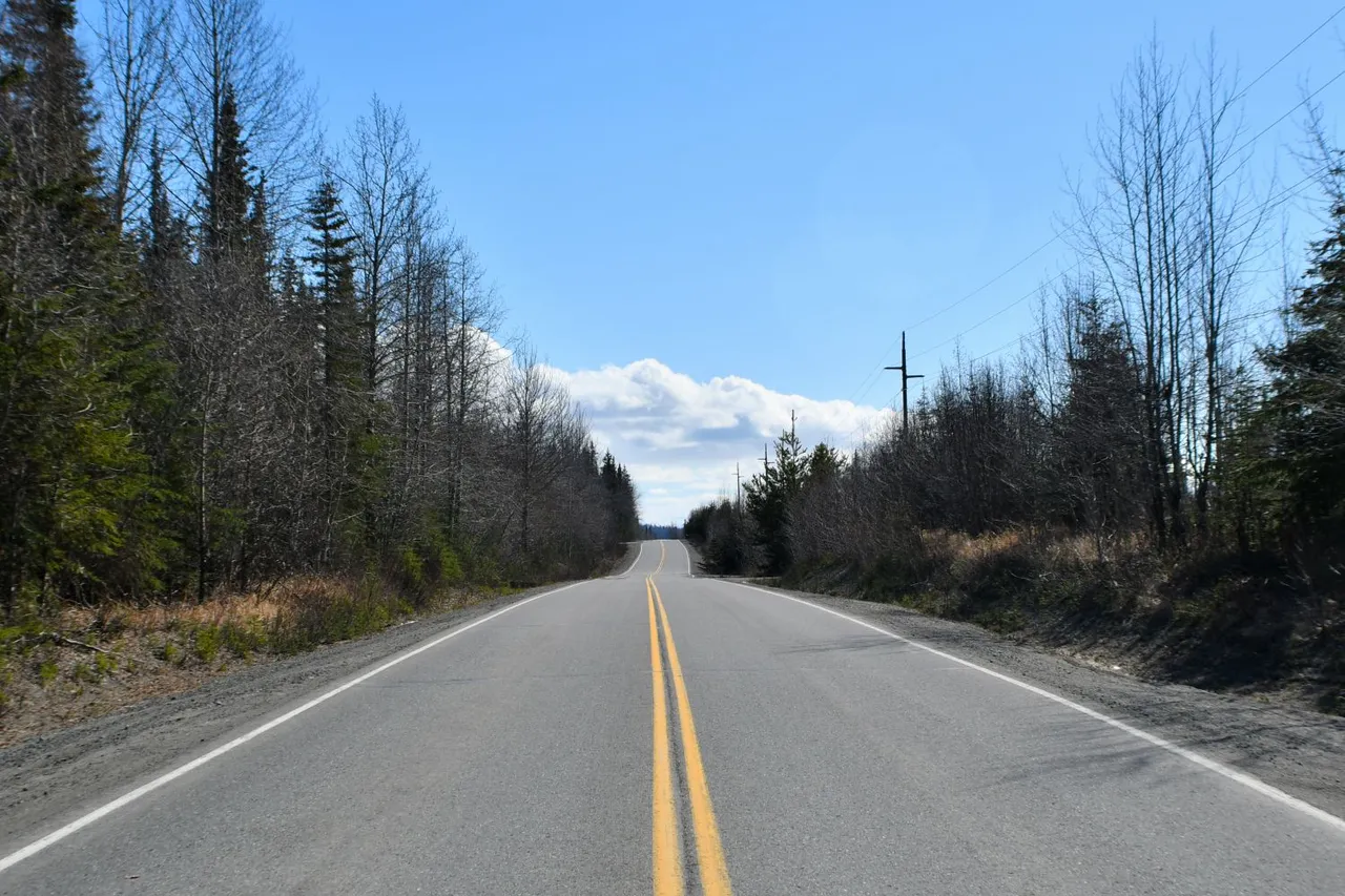Lily Lake Road