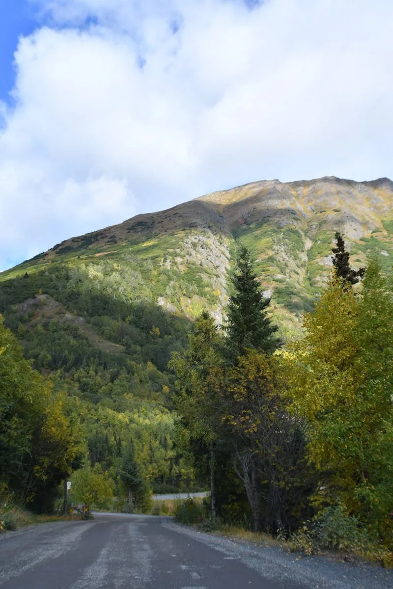 Leaving the picnic area