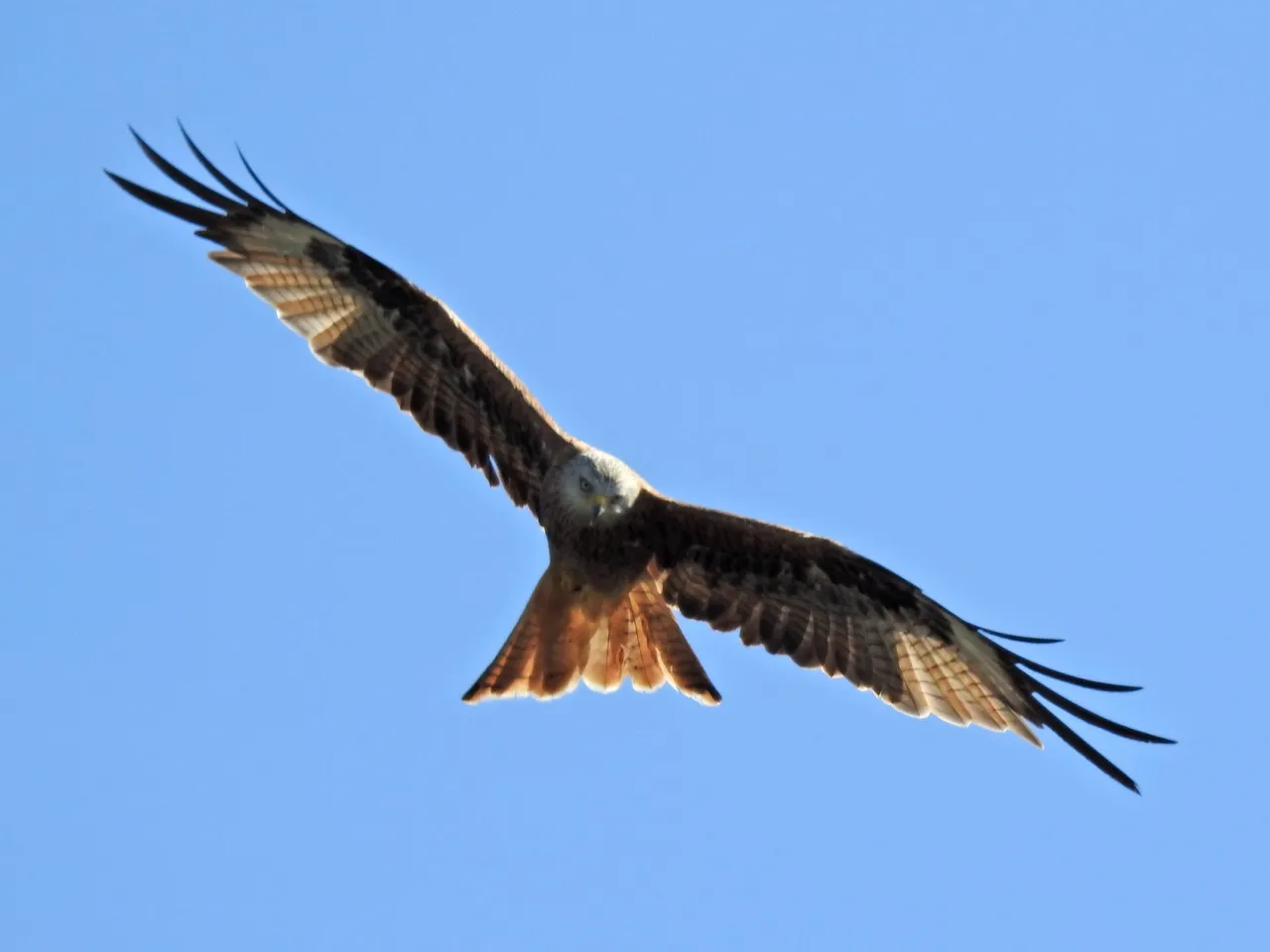 FSCN9661.JPG