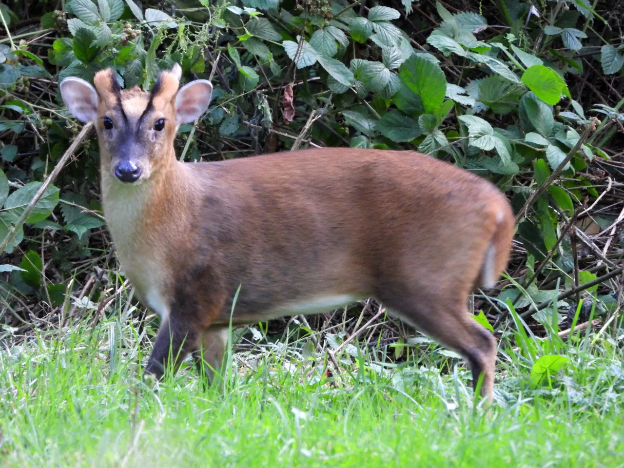 DSCN2336.jpg