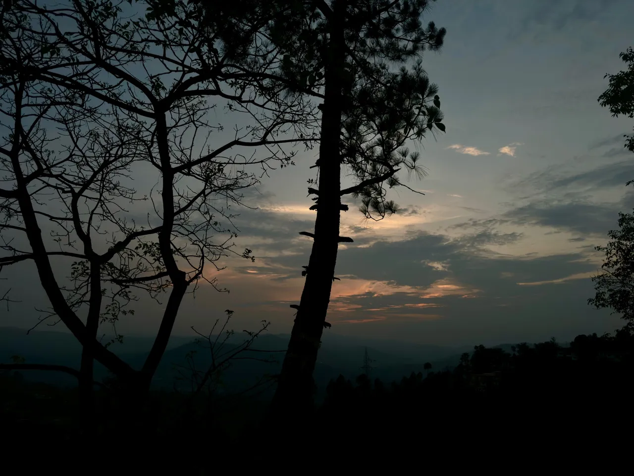 IMG_4474.jpeg
