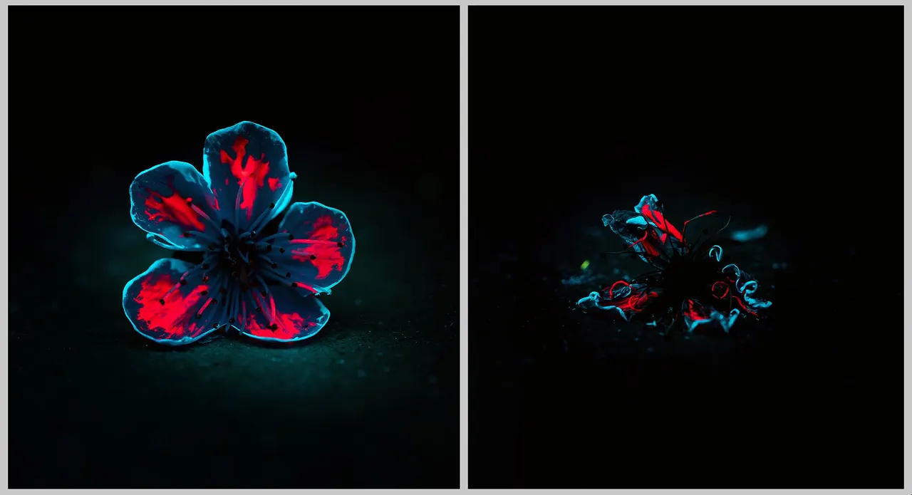 Flowers in the Dark - The Cycle