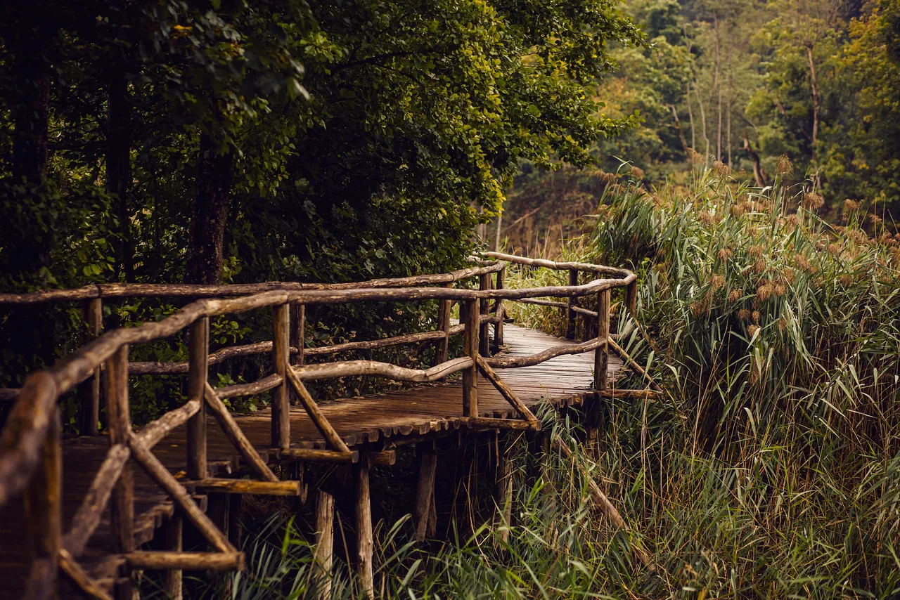 plitvice lakes Photography (129).jpg