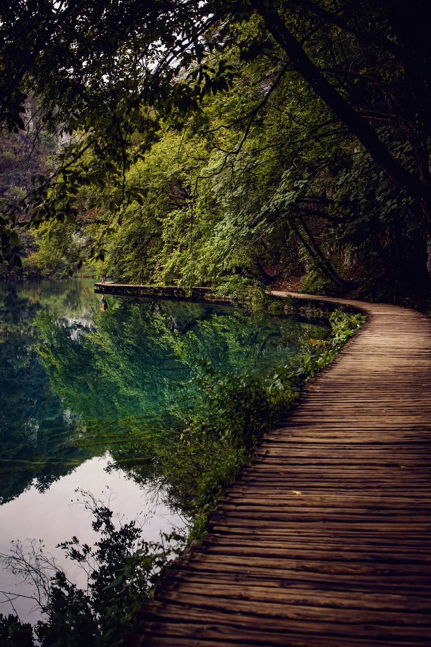 plitvice lakes Photography (38).jpg