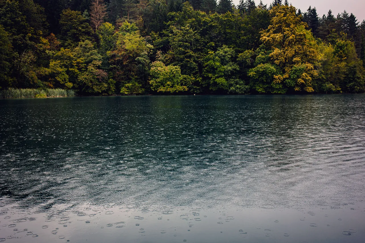 plitvice lakes rainy day.jpg