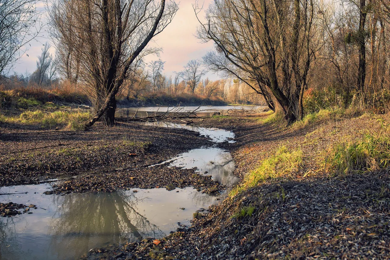 Harčaš dunav.jpg
