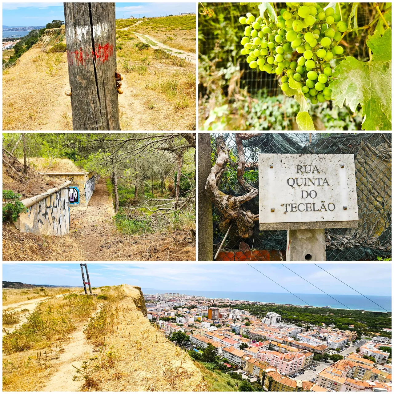 BeFunky-collage - 2025-07-26T105841.956.jpg