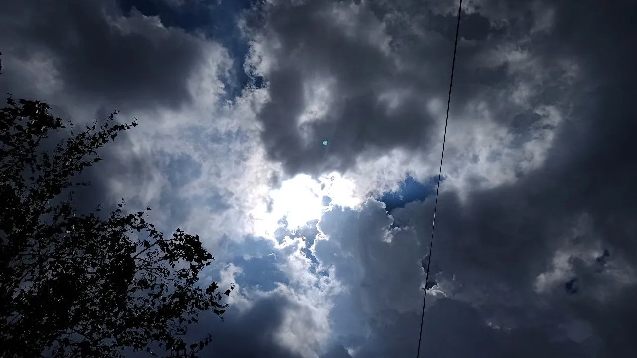 IMG_20210608_141223.jpg