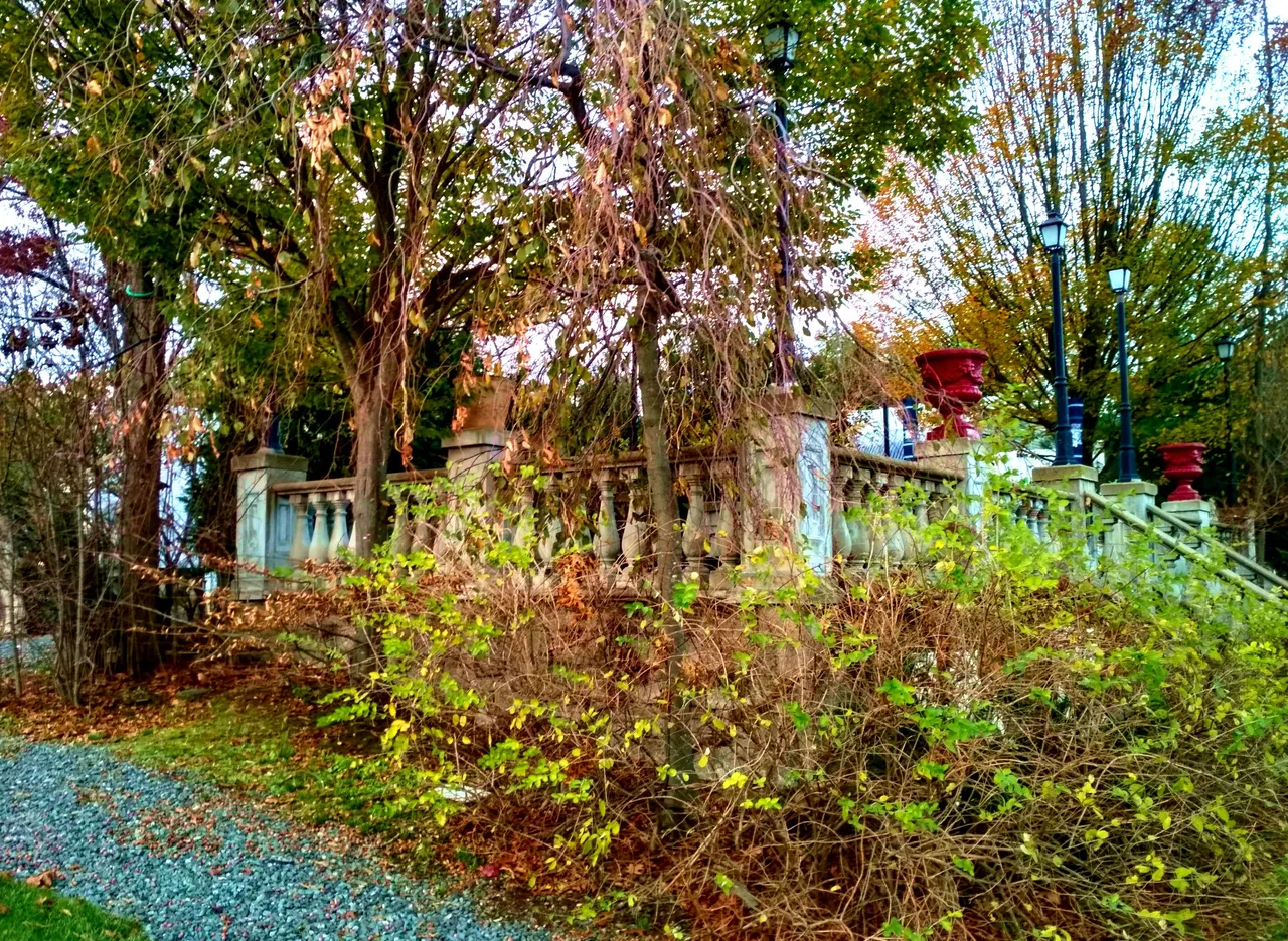 IMG_20201117_154634_HDR_modified.jpg