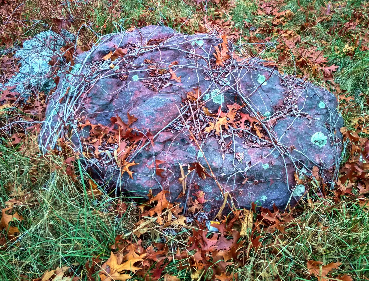 IMG_20201117_153645_HDR_modified.jpg