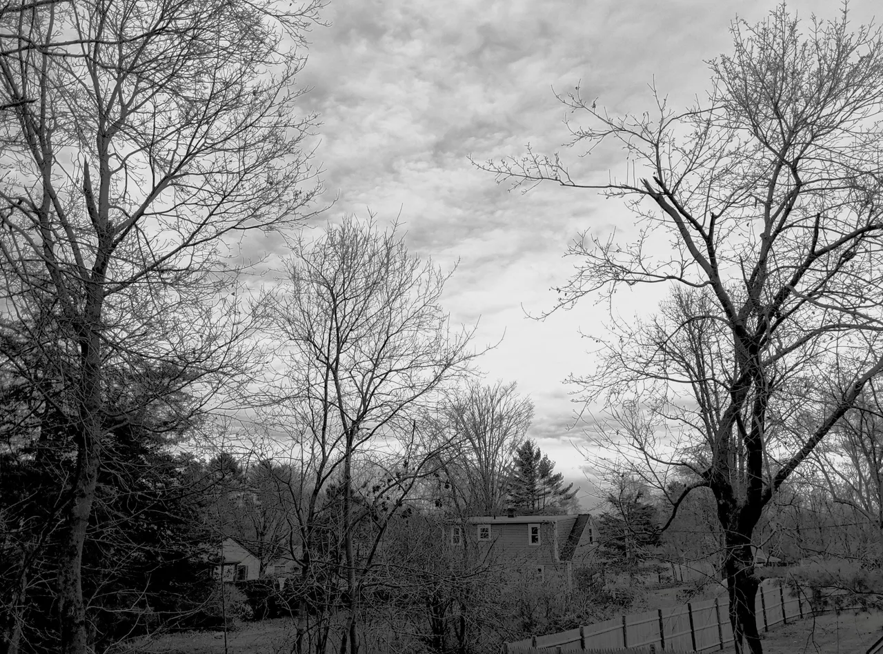 IMG_20201125_145200_modified_1.jpg