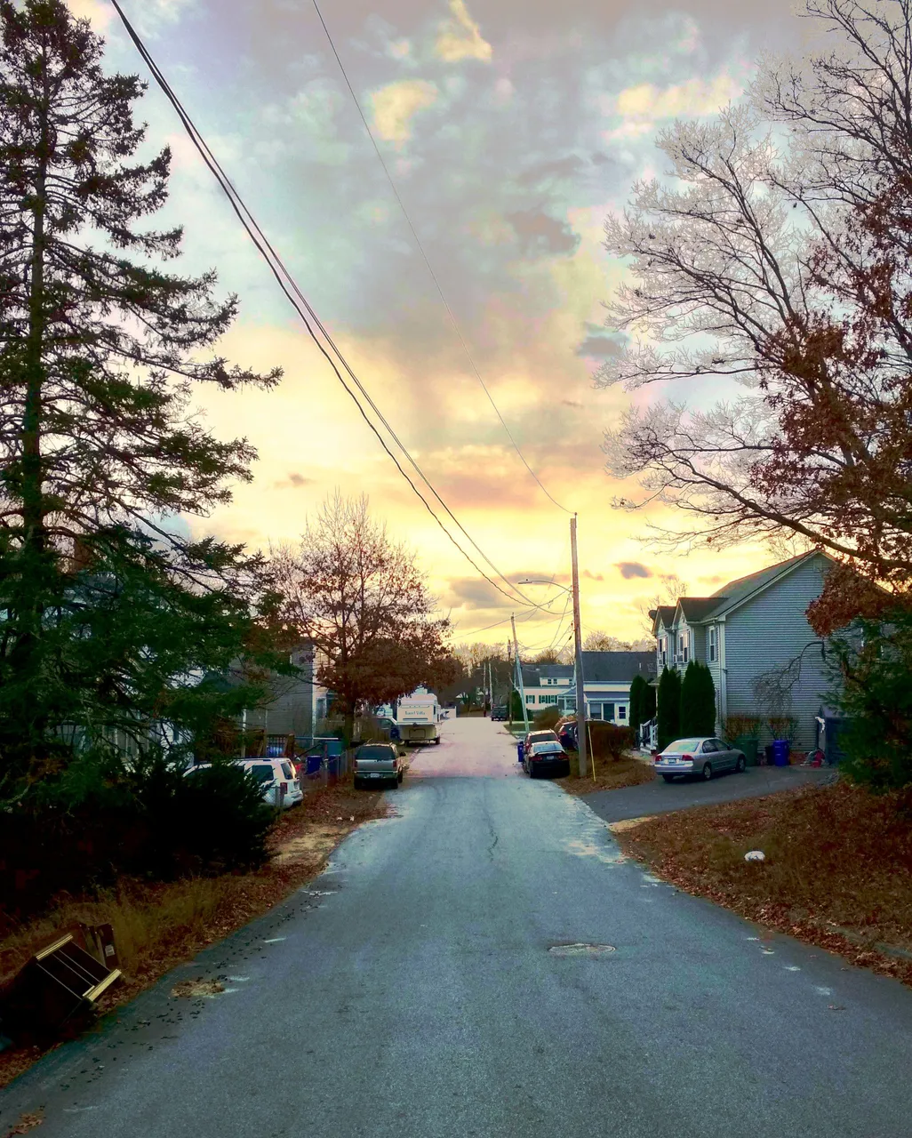 IMG_20201117_153550_HDR_modified.jpg