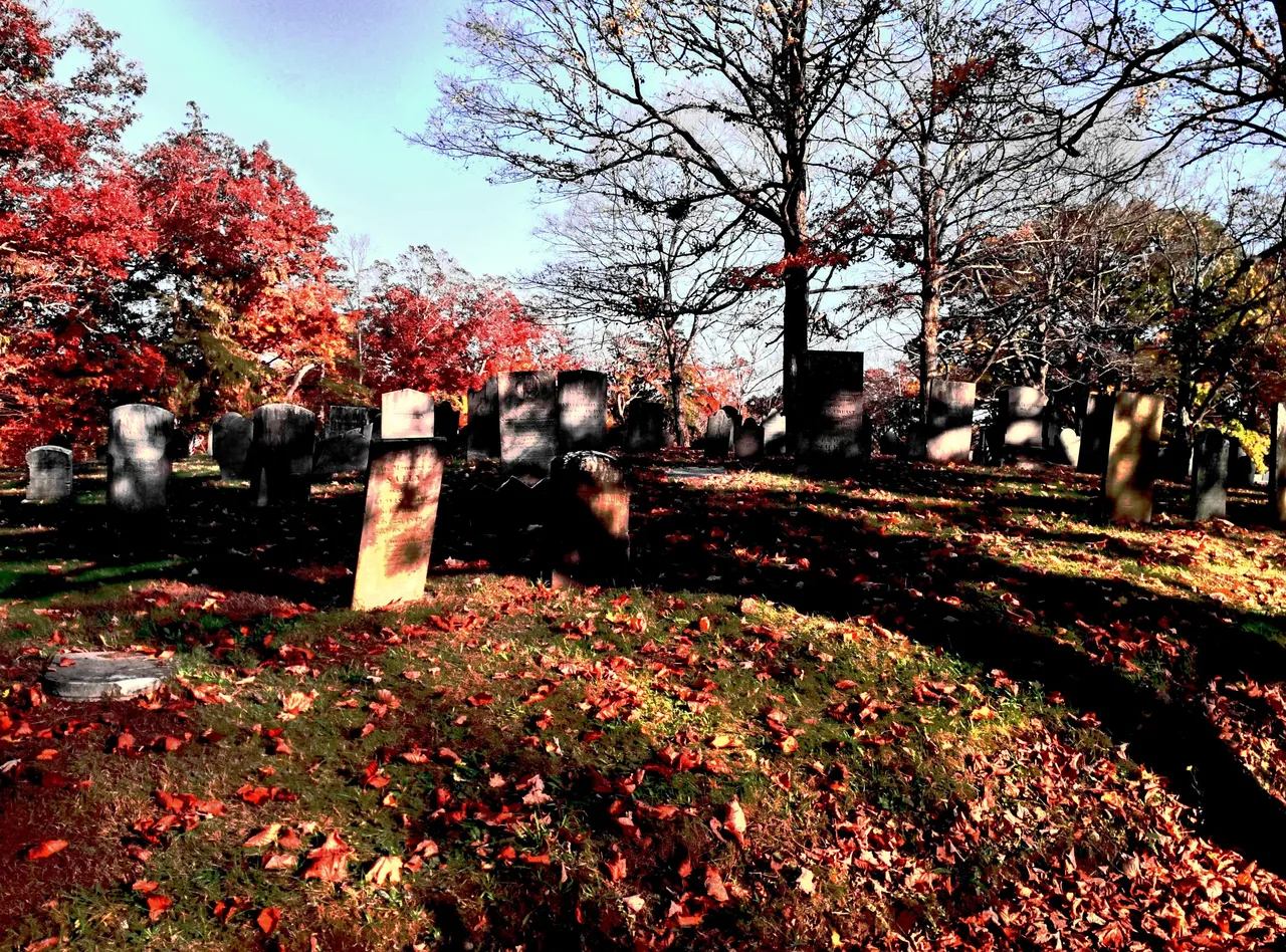 IMG_20201023_155105_HDR_modified.jpg