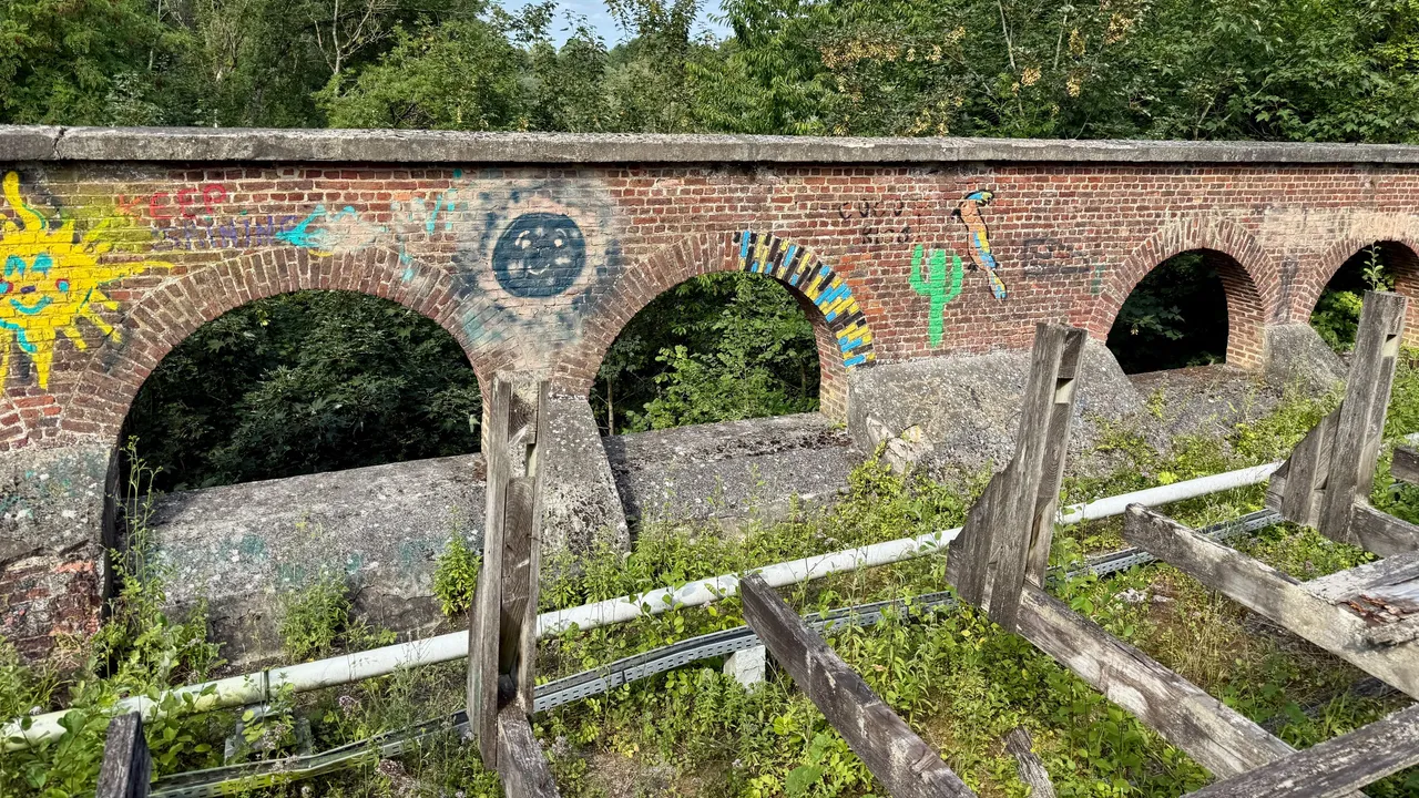 IMG_5547.jpeg
