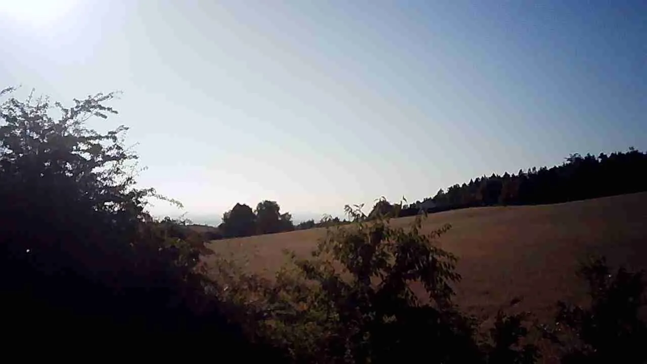 JPG_1754928757768.jpg