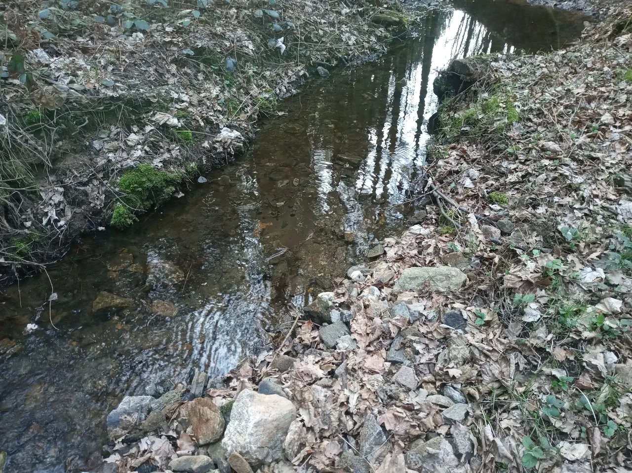 IMG_20250405_181743.jpg