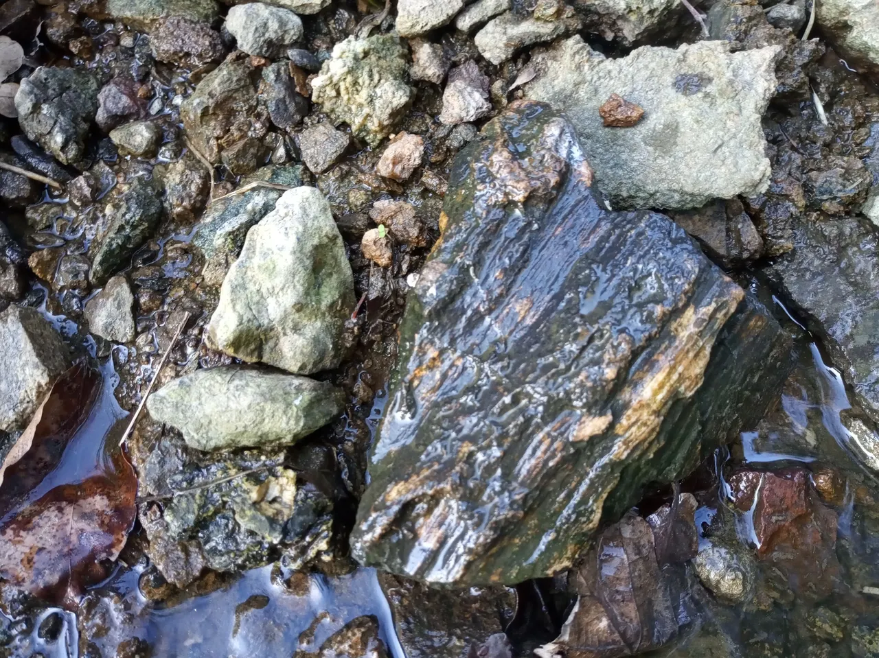 IMG_20250412_172010.jpg