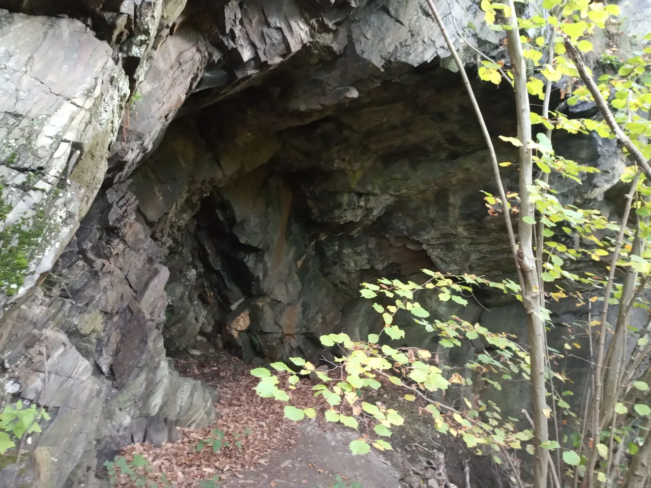 IMG_20221016_081204.jpg